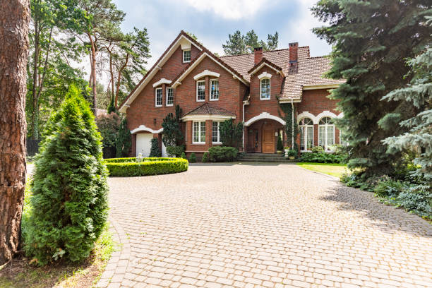 Best Driveway Paving Contractor  in Edwards, MS